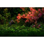Kép 2/2 - Garden Lights Raf spot lámpa