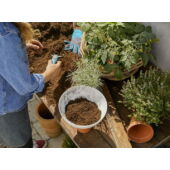Kép 4/4 - Gardena ClickUp! Virágtál