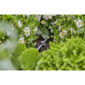Kép 4/4 -  Gardena MD Leszúrótüske, 4,6 mm (3/16&quot;)