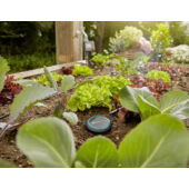 Kép 3/3 - Gardena Talajnedvesség-érzékelő