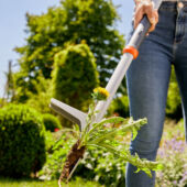 Kép 3/6 - Gardena gyomkiszúró