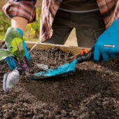 Kép 3/4 - Gardena okoskesztyű ültetéshez 8/M