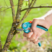 Kép 2/2 - Gardena Vágóüllős metszőolló S