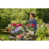 Kép 3/12 -  Gardena pumpás permetező 1 l