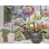 Kép 4/12 -  Gardena pumpás permetező 1 l