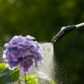 Kép 3/14 - Gardena Plus nyomáspermetező 5 l