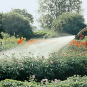 Kép 3/4 - Gardena Profi rendszerű permetező locsoló