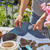 Kép 3/7 - Gardena city gardening Ültetőszőnyeg S