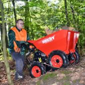 Kép 12/14 - Hecht 2636 benzinmotoros szállító 6,5 LE / 300 kg
