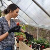 Kép 7/7 - Alumínium melegház 210 x 180 x 119 cm