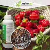 Kép 4/5 - Quik-Link gyökereztető növénykondicionáló 200ml