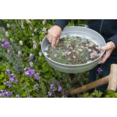 Kép 3/5 - Nature Fém kerti kerek szita, 7,4 x D37 cm, 12 mm, szürke