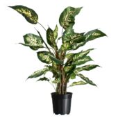 Kép 3/4 - Nature Polipropilén beltéri virágcserép, 1 db, 10 l, 23,4 x D27 cm, fekete