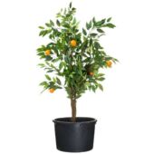 Kép 2/2 - Nature Polietilén virágcserép füles peremmel, 275 l, 34 x D112 cm, fekete