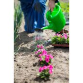 Kép 3/4 - Nature Műanyag öntözőkanna, 10 l, zöld