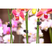 Nature Orchidea rögzítő csipesz, 10 db, fekete