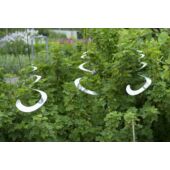 Kép 5/6 - Nature Madárriasztó spirál 3 db, 45 x D23 cm, szürke