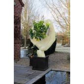 Kép 2/4 - Nature Téli takarófólia, 2 x 5 m, bézs