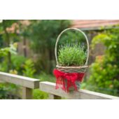 Kép 4/10 - Nature Juta szalag 10 cm x 25 m, piros