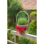Kép 5/10 - Nature Juta szalag 10 cm x 25 m, piros