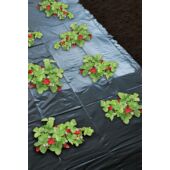 Kép 3/4 - 40 x 20 m - 50 μ