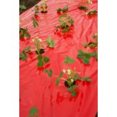 Kép 4/7 - Nature LDPE/LLDPE talajtakaró fólia, piros 40 x Ø 60 mm - 0,95 x 5 m