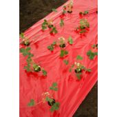 Kép 3/7 - Nature LDPE/LLDPE talajtakaró fólia, piros 80 x Ø 60 mm - 0,95 x 10 m