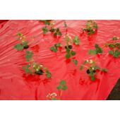 Kép 6/7 - Nature LDPE/LLDPE talajtakaró fólia, piros 80 x Ø 60 mm - 0,95 x 10 m