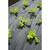 Kép 3/5 - Nature piros talajtakaró fólia, saláta 45 x Ø 60 mm - 0,95 x 5 m