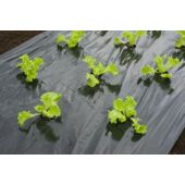 Kép 4/5 - Nature piros talajtakaró fólia, saláta 45 x Ø 60 mm - 0,95 x 5 m