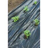 Kép 3/7 - Nature LDPE/LLDPE talajtakaró fólia, fekete, 0,95 x 10 m