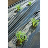 Kép 4/7 - Nature LDPE/LLDPE talajtakaró fólia, fekete, 0,95 x 10 m
