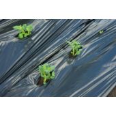 Kép 5/7 - Nature LDPE/LLDPE talajtakaró fólia, fekete, 0,95 x 10 m