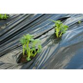 Kép 6/7 - Nature LDPE/LLDPE talajtakaró fólia, fekete, 0,95 x 10 m