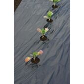 Kép 3/5 - Nature LDPE/LLDPE talajtakaró fólia, fekete, 30 x Ø 60 mm - 0,95 x 10 m