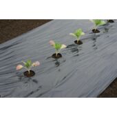 Kép 4/5 - Nature LDPE/LLDPE talajtakaró fólia, fekete, 30 x Ø 60 mm - 0,95 x 10 m