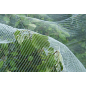 Kép 4/6 - Nature rovarok és almamolyok elleni háló 5,20 x 5 m