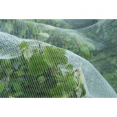 Kép 4/6 - Nature rovarok és almamolyok elleni háló 5,20 x 5 m