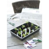Kép 2/2 - Nature antracit csíráztató tálca 6x37,5x24cm tető nélkül