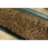 Kép 2/3 - Nature műanyag edény, kókuszrostból készült  gyökereztető közeggel 10x49x15,5 cm