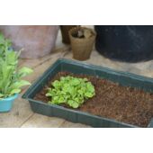 Kép 3/3 - Nature műanyag edény, kókuszrostból készült  gyökereztető közeggel 10x49x15,5 cm