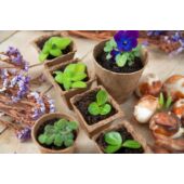 Kép 3/4 - Nature farostból készült termesztő cserép 8,5 x Ø8cm 15db szett kerek