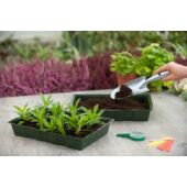 Kép 2/3 - Nature csíráztató tálca 5,5 x 35 x 23,5 cm 5db tálca/csomag