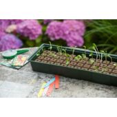 Kép 6/10 - Nature hydropóniás csíráztató tálcával, ablakba (6 x 16 cella)