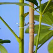 Kép 3/3 - Nature fém (galvanizált) kötöző 50m, 0,7mm