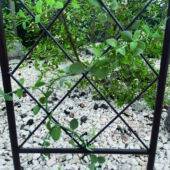 Kép 3/5 - Nortene Classic Metal Trellis  fém futtató rács, panel, 42x150 cm