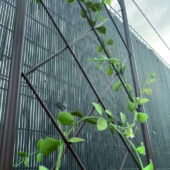 Kép 4/5 - Nortene Classic Metal Trellis  fém futtató rács, panel, 42x150 cm