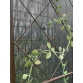 Kép 5/5 - Nortene Classic Metal Trellis  fém futtató rács, panel, 42x150 cm