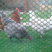 Kép 1/6 - Nortene BN-90