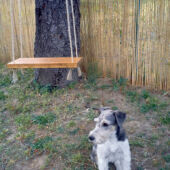 Kép 5/7 - Nortene Bamboocane bambusznád kerítés, 1x5m, bézs